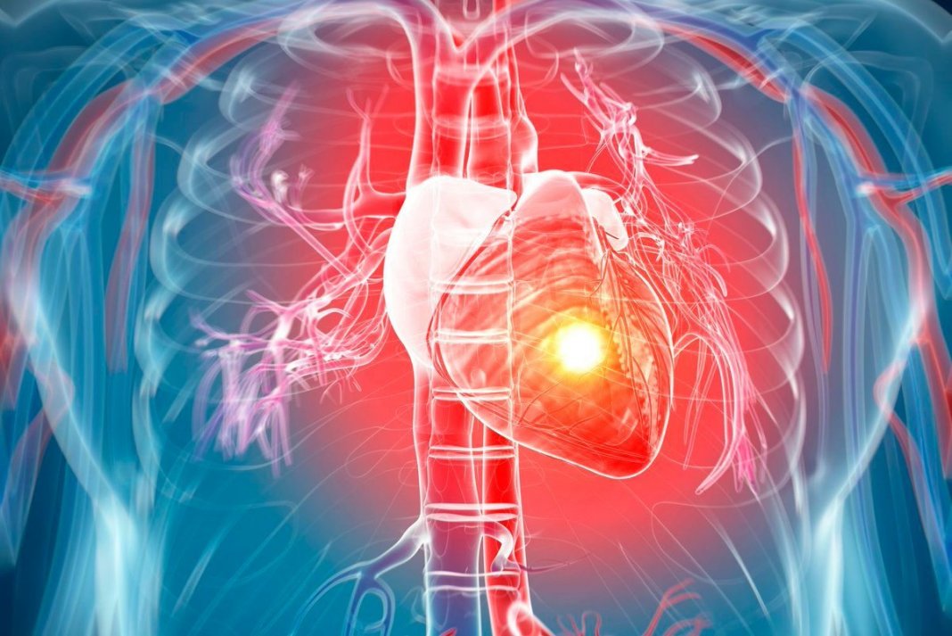 O estresse é um inimigo do coração. As tensões emocionais propriciam doenças cardiovasculares aos montes e á foi comprovado a alta liberação de hormônios.