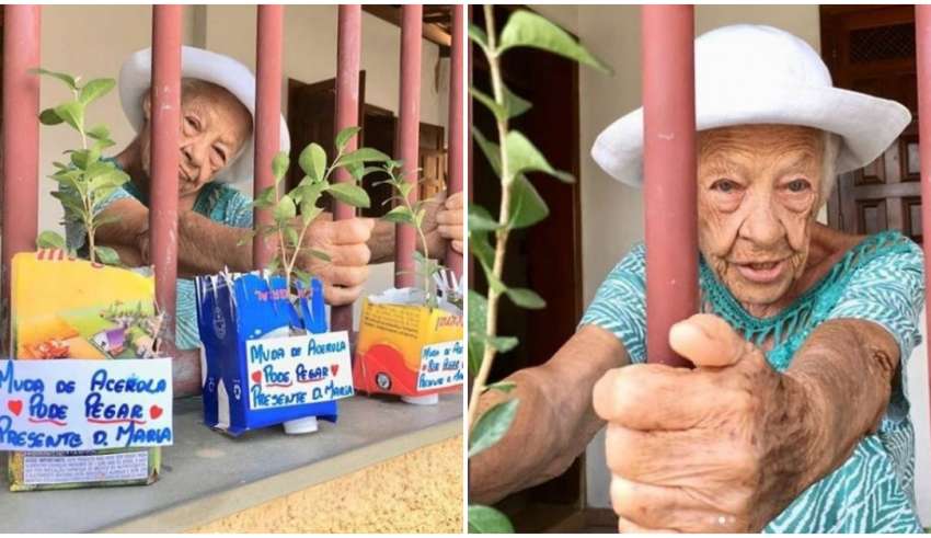 Vovó mineira com Parkinson doa mudas de acerola